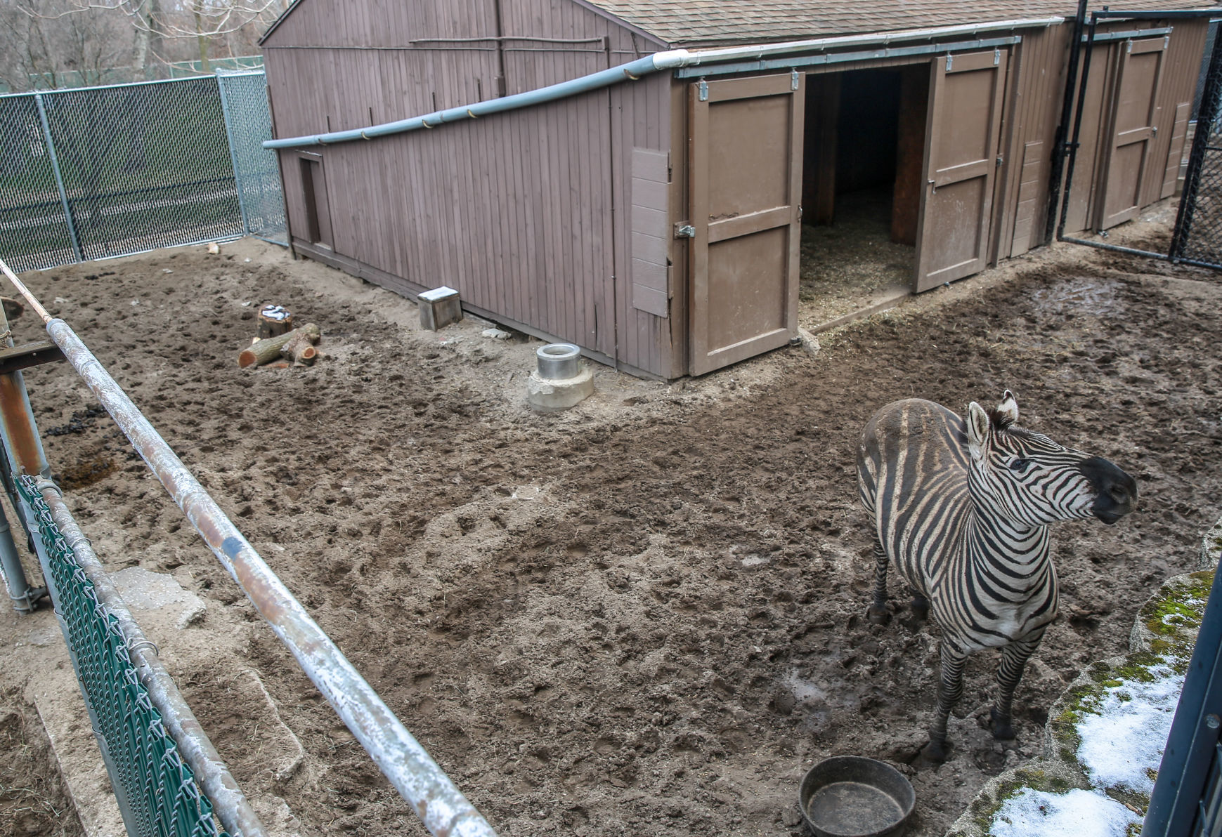 The Washington Park Zoo turns 90 this year